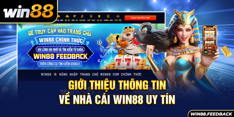 gioi-thieu-thong-tin-ve-nha-cai-win88-uy-tin